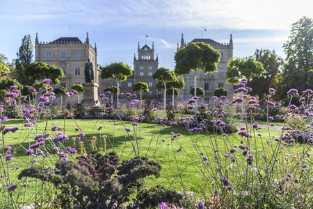Sicht durch die Blumen des Rondells auf Schloss Ehrenburg in Coburg.
