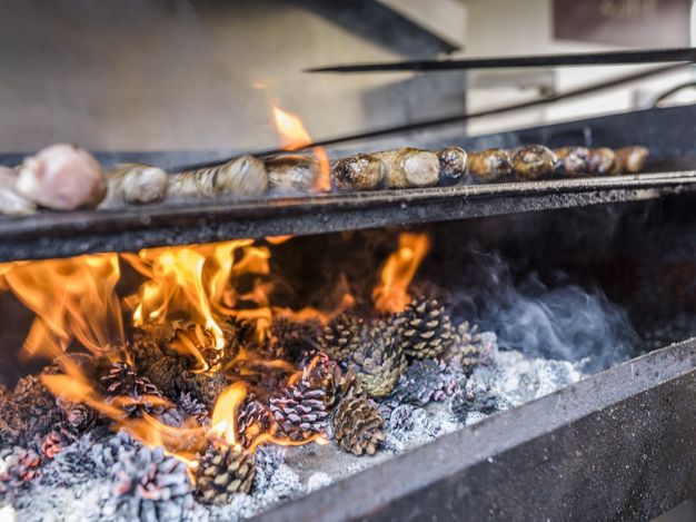 Coburger Bratwürste über Kiefernzapfen auf dem Grill gebraten.