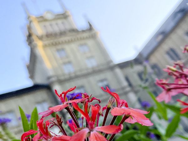 Blick zu Schloss Ehrenburg, das hinter Blumen hervor schaut.